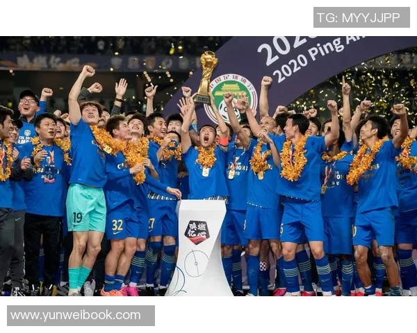 江苏苏宁对阵大连一方精彩赛事在线直播全程回顾与分析 江苏苏宁对阵大连一方精彩赛事在线直播全程回顾与分析